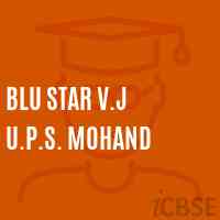 Blu Star V.J U.P.S. Mohand Middle School Logo