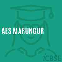Aes Marungur Primary School Logo