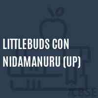 Littlebuds Con Nidamanuru (Up) Middle School Logo