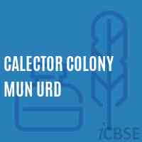 Calector Colony Mun Urd Middle School Logo