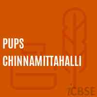 Pups Chinnamittahalli Primary School Logo