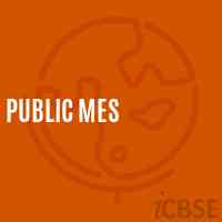 Public Mes Middle School Logo