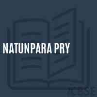 Natunpara Pry Primary School Logo