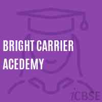 Bright Carrier Acedemy Middle School Logo
