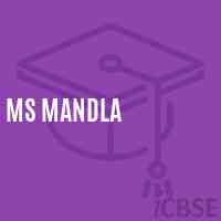 Ms Mandla Middle School Logo