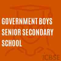 Government Boys Senior Secondary School Logo