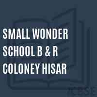 Small Wonder School B & R Coloney Hisar Logo
