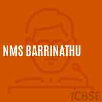 Nms Barrinathu Middle School Logo