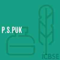 P.S.Puk Primary School Logo