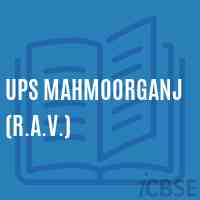 Ups Mahmoorganj (R.A.V.) Middle School Logo