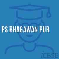Ps Bhagawan Pur Primary School Logo