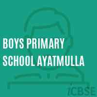 Boys Primary School Ayatmulla Logo