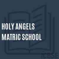 Holy Angels Matric School Logo