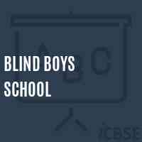 Blind Boys School Logo