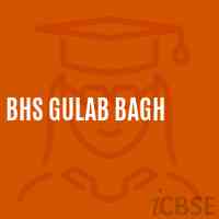 Bhs Gulab Bagh Secondary School Logo