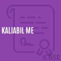 Kaliabil Me Middle School Logo