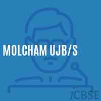 Molcham Ujb/s Primary School Logo