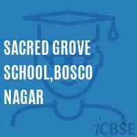 Sacred Grove School,Bosco Nagar Logo
