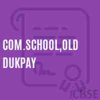 Com.School,Old Dukpay Logo