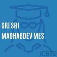 Sri Sri Madhabdev Mes Middle School Logo