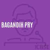 Bagandih Pry Primary School Logo