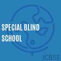 Special Blind School Logo