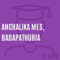 Anchalika Mes, Badapathuria School Logo