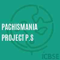 Pachismania Project P.S Primary School Logo