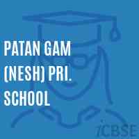 Patan Gam (Nesh) Pri. School Logo