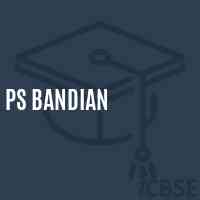 Ps Bandian Primary School Logo