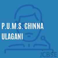 P.U.M.S. Chinna Ulagani Middle School Logo