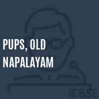 Pups, Old Napalayam Primary School Logo