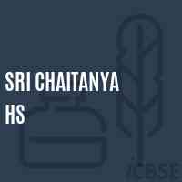 Sri Chaitanya Hs Primary School Logo