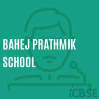 Bahej Prathmik School Logo