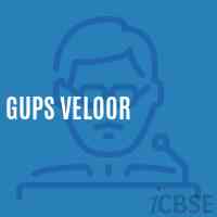 Gups Veloor Middle School Logo