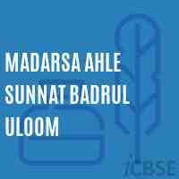 Madarsa Ahle Sunnat Badrul Uloom Primary School Logo