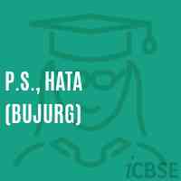 P.S., Hata (Bujurg) Primary School Logo