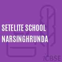 Setelite School Narsinghrunda Logo