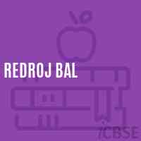 Redroj Bal Middle School Logo