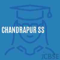 Chandrapur SS Middle School Logo