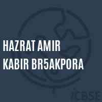 Hazrat Amir Kabir Br5Akpora Secondary School Logo