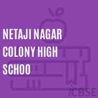 Netaji Nagar Colony High Schoo Secondary School Logo