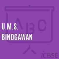 U.M.S. Bindgawan Middle School Logo