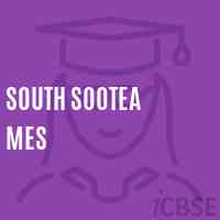 South Sootea Mes Middle School Logo