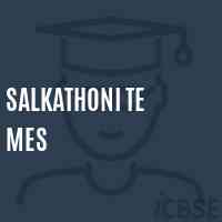 Salkathoni Te Mes Middle School Logo