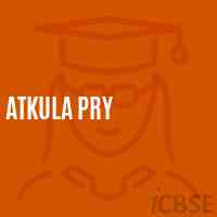 Atkula Pry Primary School Logo