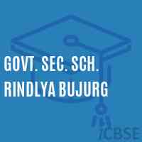 Govt. Sec. Sch. Rindlya Bujurg Secondary School Logo
