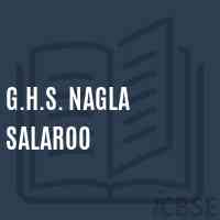 G.H.S. Nagla Salaroo Secondary School Logo