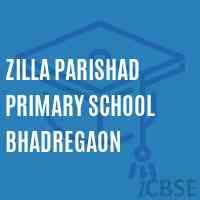 Zilla Parishad Primary School Bhadregaon Logo