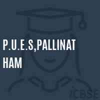 P.U.E.S,Pallinatham Primary School Logo